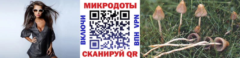 Галлюциногенные грибы Magic Shrooms  hydra онион  Дыгулыбгей 